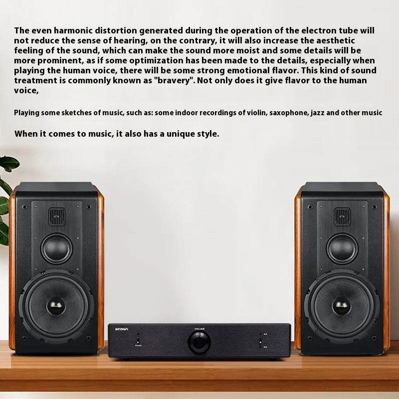 BRZHIFI Hifi Fever Tube Preamplifier Tube True Balanced Output and Tianmao Classic SRPP Circuit