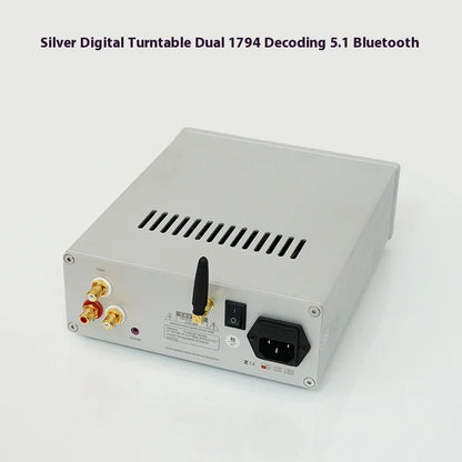 BRZHIFI DV20A Flagship Digital Turntable USB Lossless Player APE WAV Decoding DAC Bluetooth 5.1
