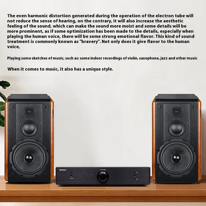 BRZHIFI Hifi Fever Tube Preamplifier Tube True Balanced Output and Tianmao Classic SRPP Circuit